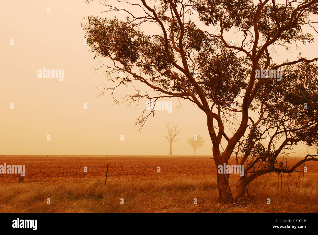 Red dust storm, Australia 2009 Stock Photo