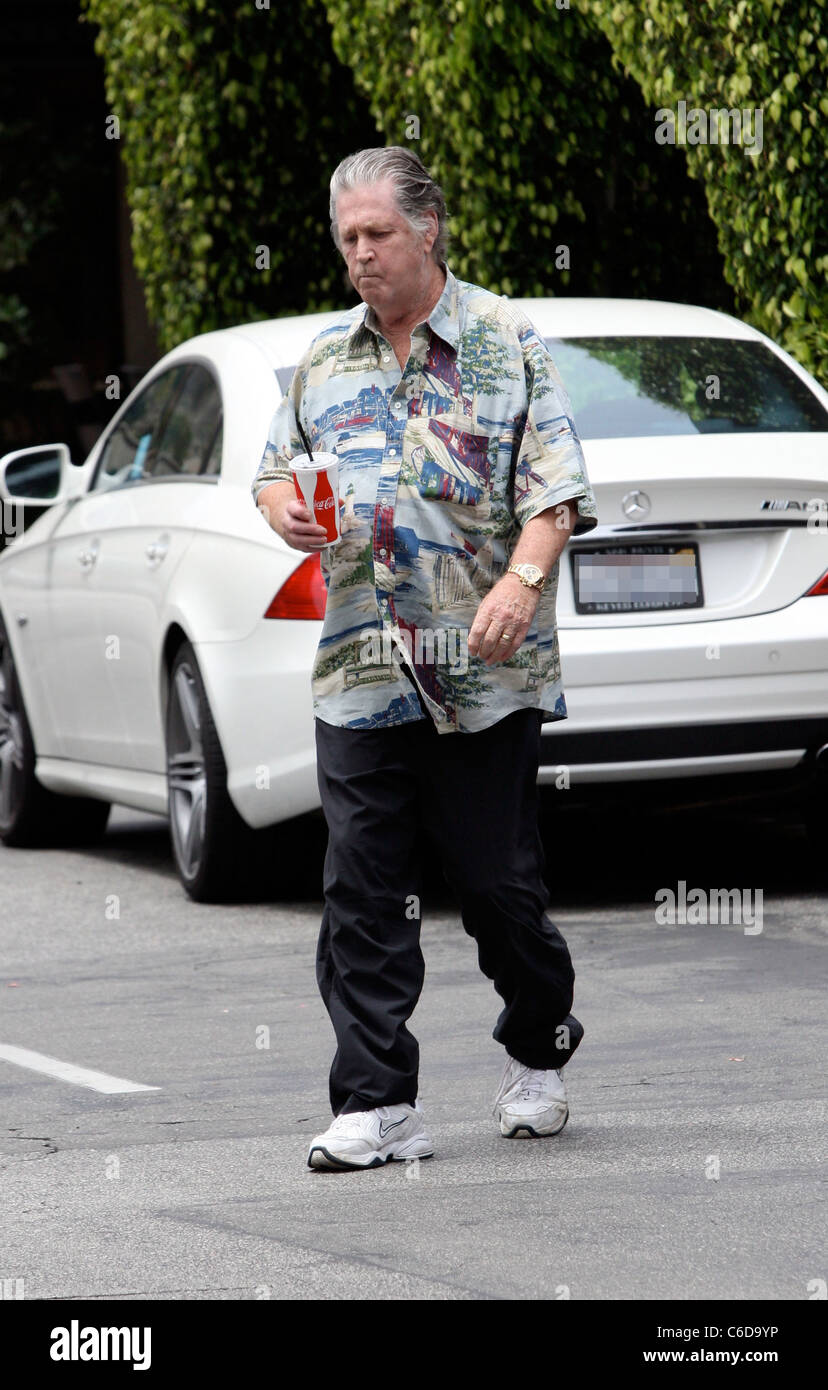 Brian Wilson out for lunch at Beverly Glen Market Place Los Angeles