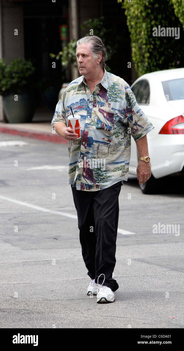 Brian Wilson out for lunch at Beverly Glen Market Place Los Angeles