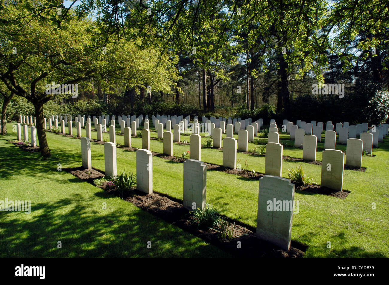 Brookwood Military Cemetery,Surrey, England. Maintained by the Commonwealth War Graves Commission, CWGC. Stock Photo
