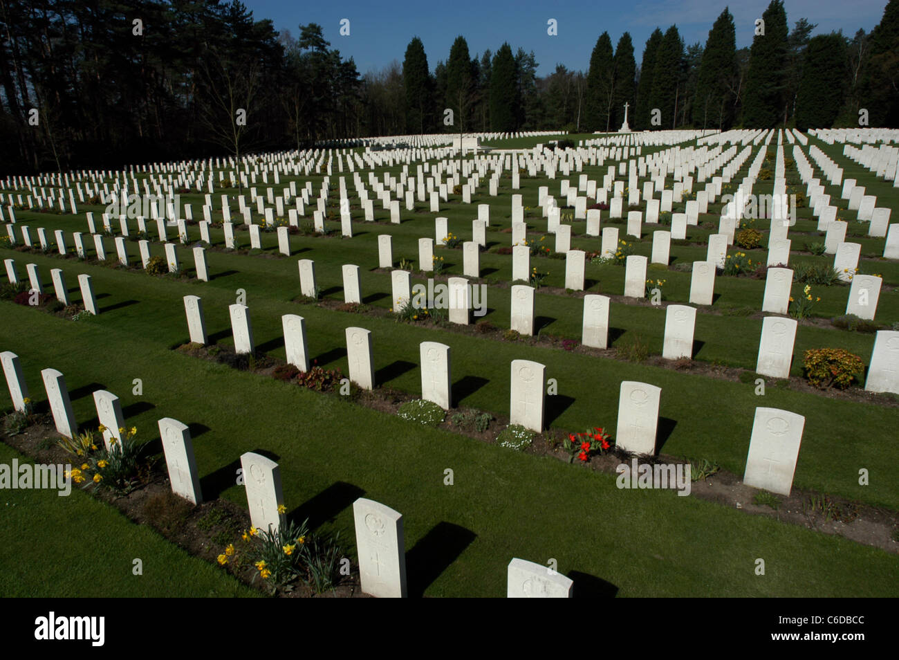 Brookwood Military Cemetery,Surrey, England. Maintained by the Commonwealth War Graves Commission, CWGC. Stock Photo