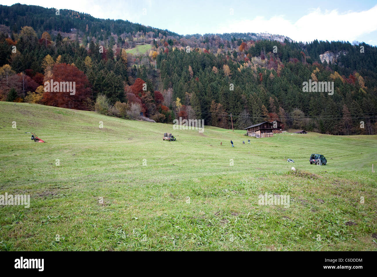 Bauern maehen eine Wiese, herbstlicher Wald, Finkenberg, Farmers on a meadow, trees, fall colours, Finkenberg Stock Photo