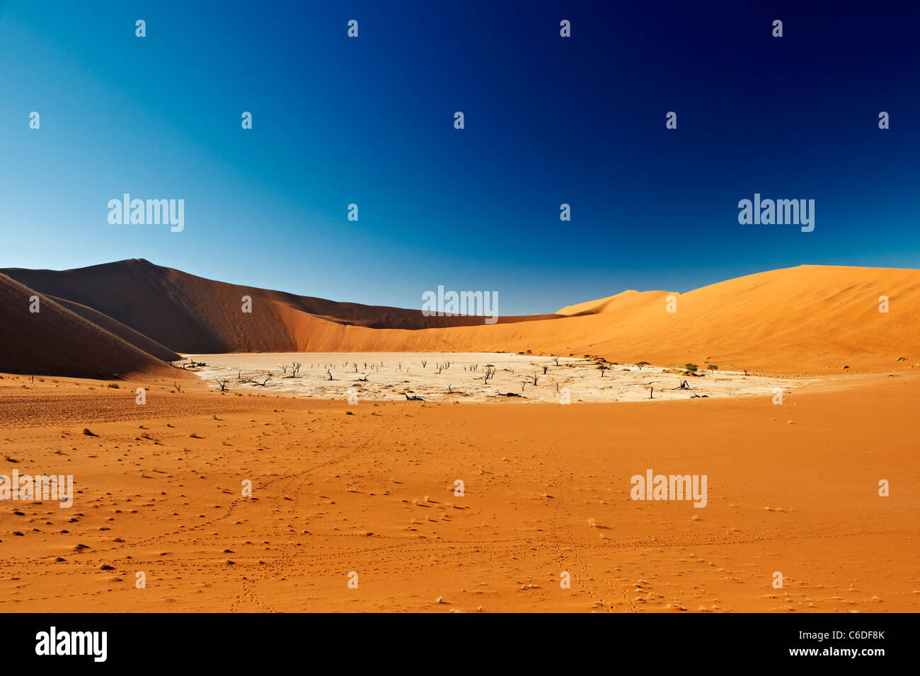 Dead trees in deadvlei hi-res stock photography and images - Alamy