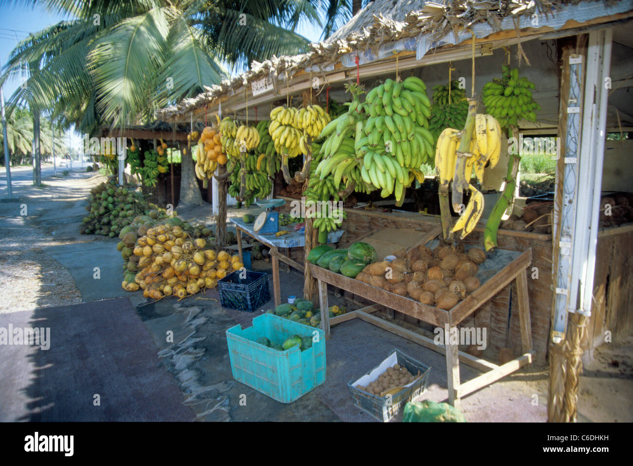Obststand an einer Verkehrsstrasse, Stadt, Salalah,  Sidewalk sale, tropical fruits, Town of, Salalah Stock Photo