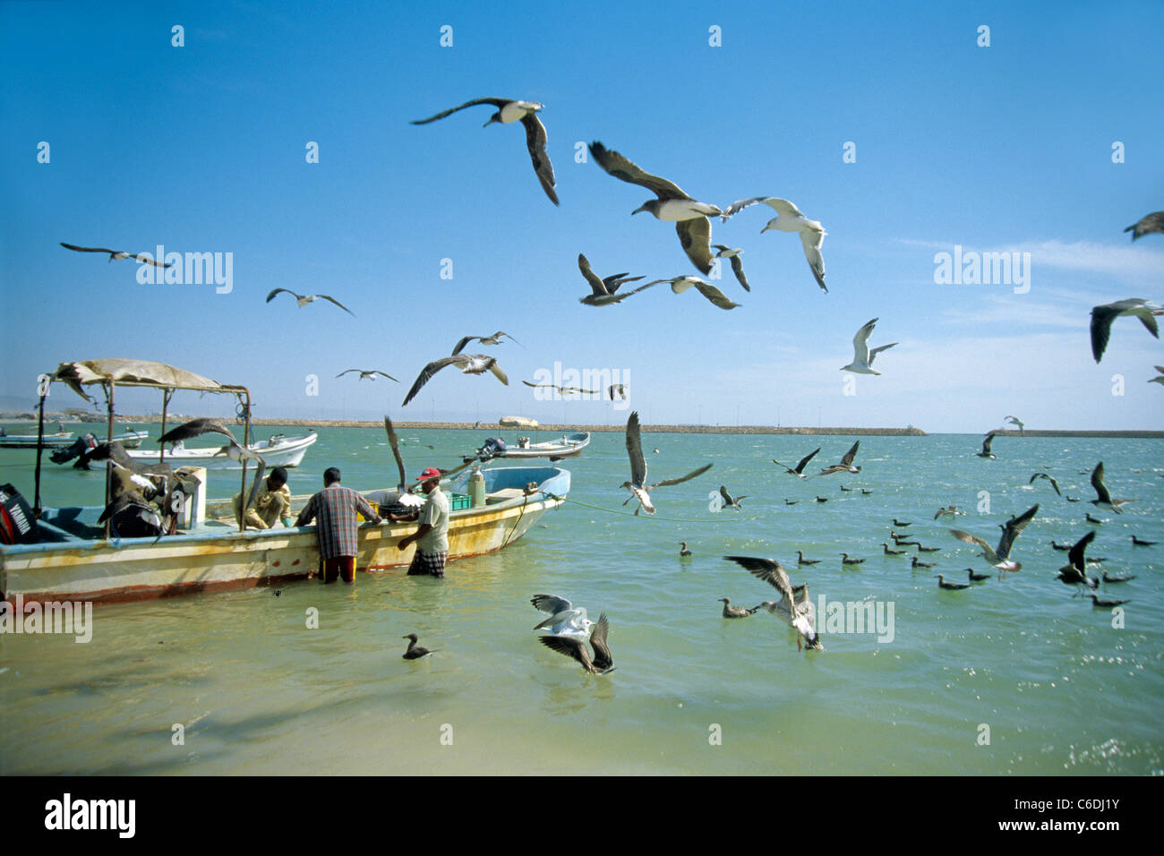 Hafen von Salalah, Fischerboot, Seemoewen, Moewen, Salalah, Port of Salalah, fishing boat, seagulls Stock Photo