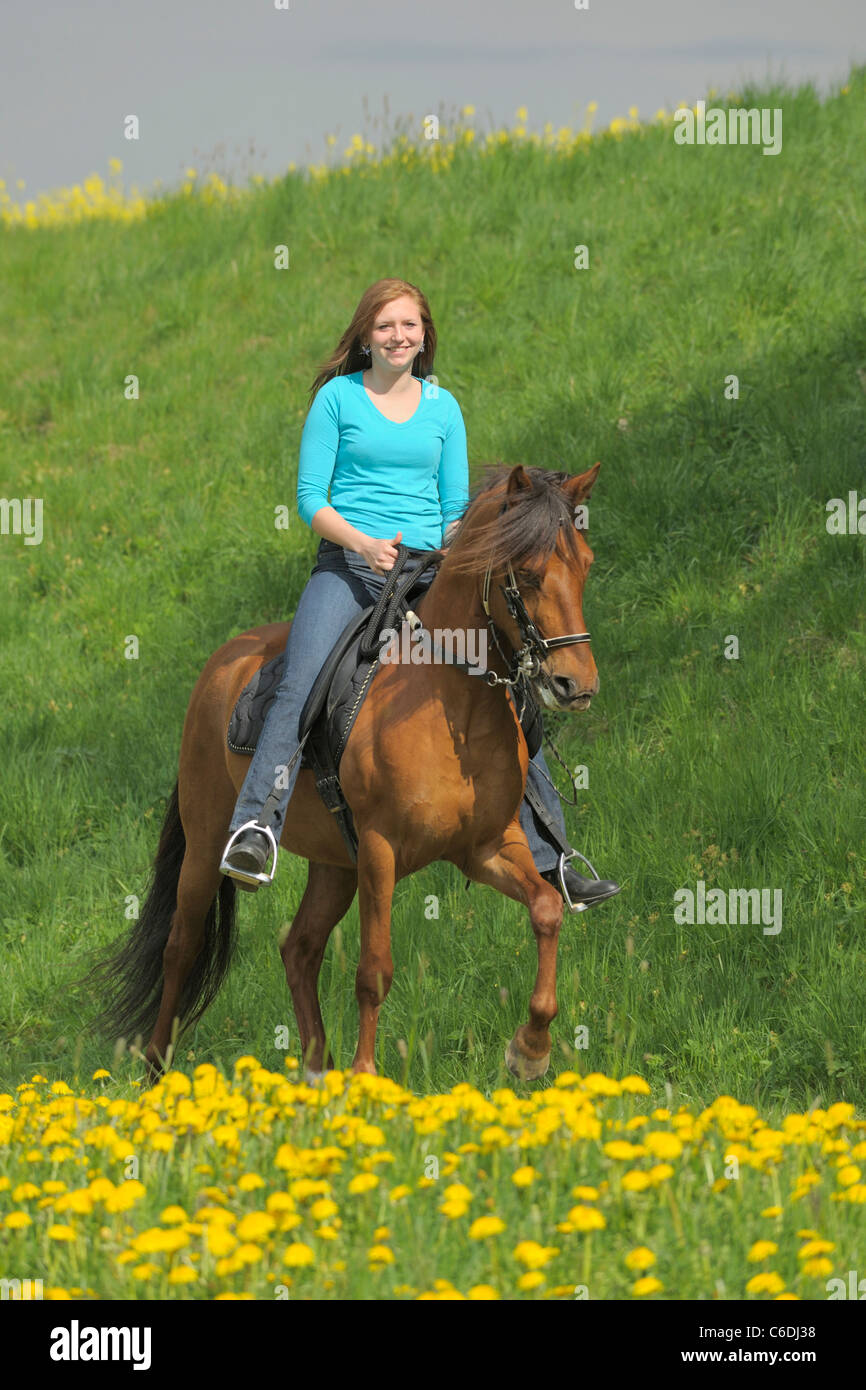 Young rider tölting on a Paso Fino horse in spring Stock Photo