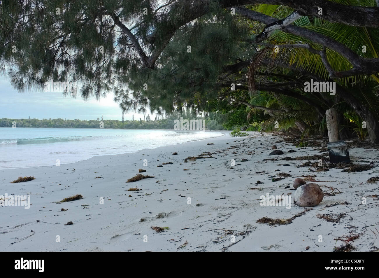 Kuto Beach at Dawn, Isle of Pines, New Caledonia Stock Photo