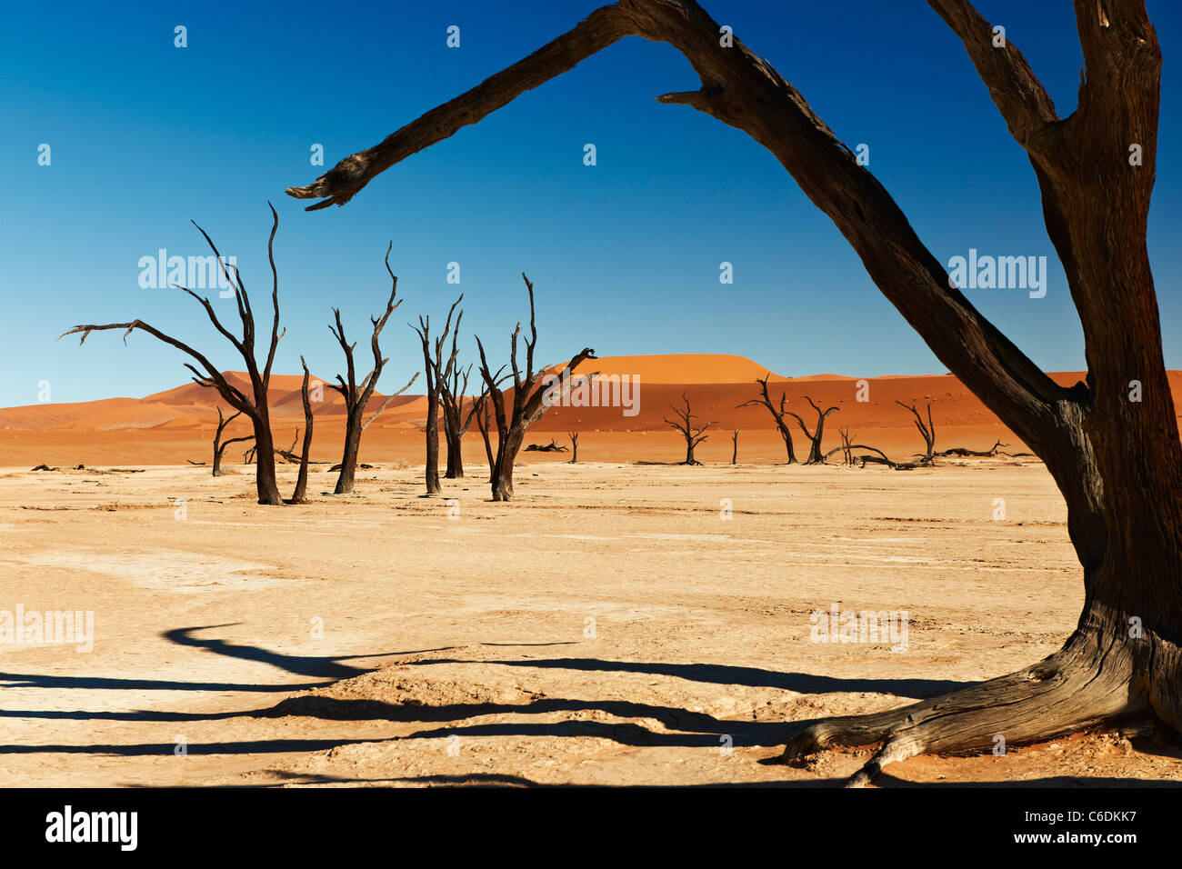 famous Dead vlei with dead trees in dry salt lake, desert landscape of Namib at Sossusvlei, Namib-Naukluft National Park Namibia Stock Photo