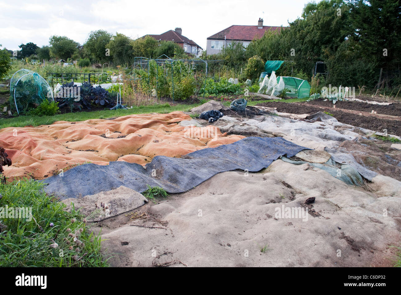 Carpets are put down on an allotment patch to use as mulch. Debate if