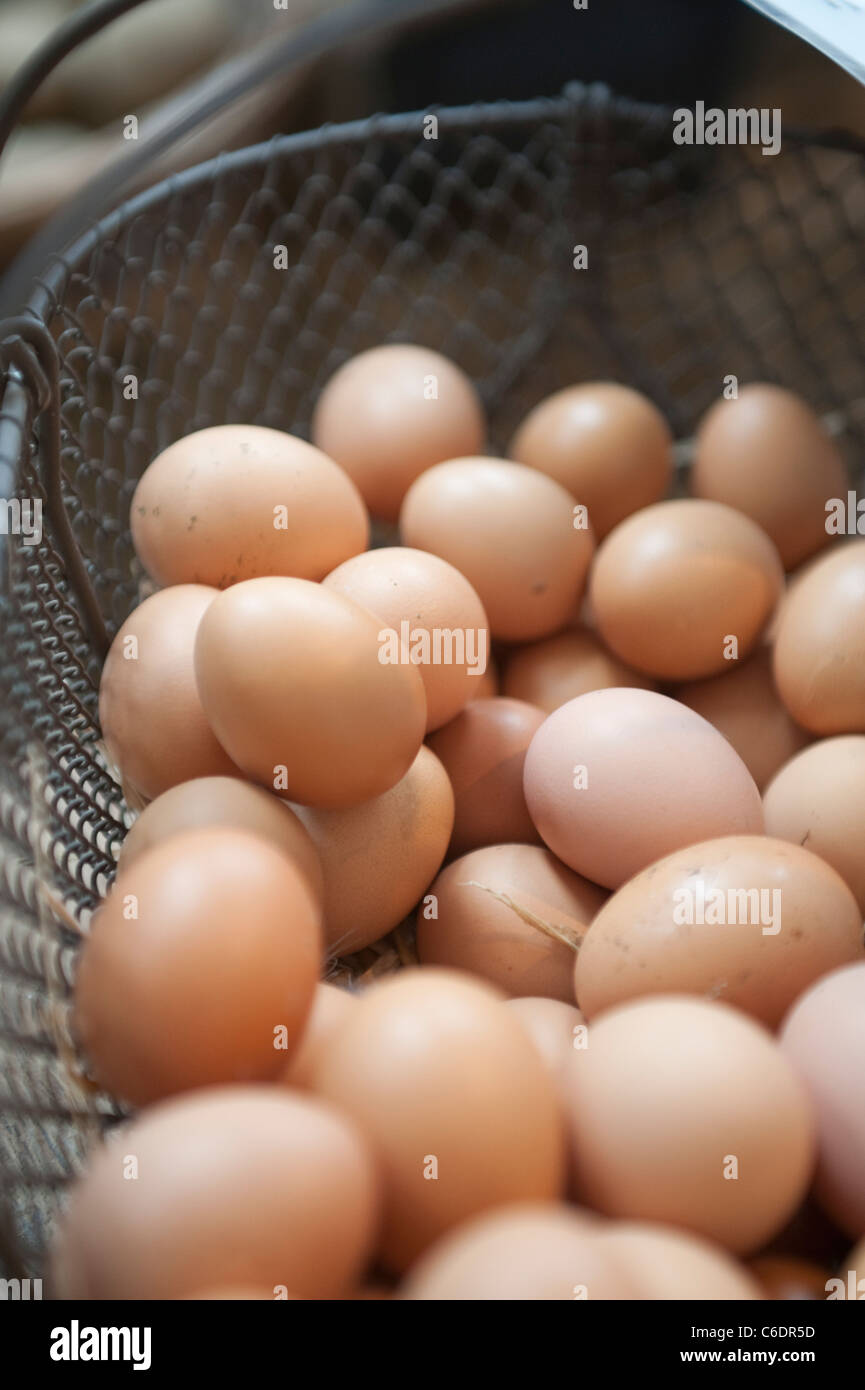 Eggs in a wire basket in a farm shop, no stamps,freshly collected Stock Photo