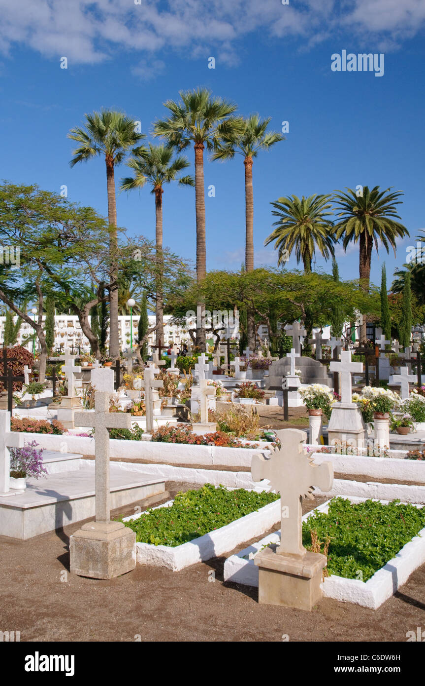 San Carlos Cemetery, Puerto de la Cruz, Tenerife, Canary Islands, Spain, Europe Stock Photo