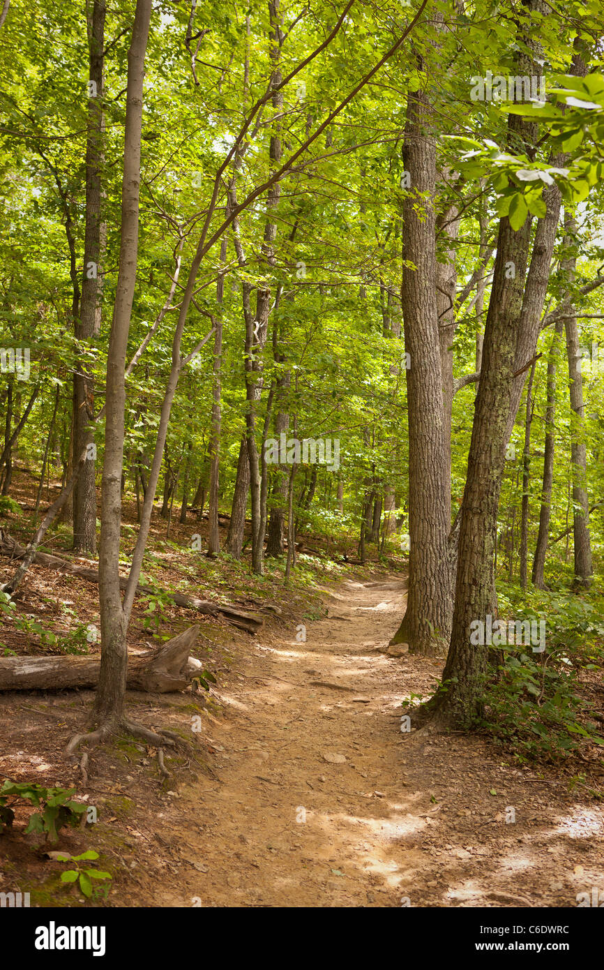 APPALACHIAN TRAIL, VIRGINIA, USA Trail to McAfee Knob on Catawba