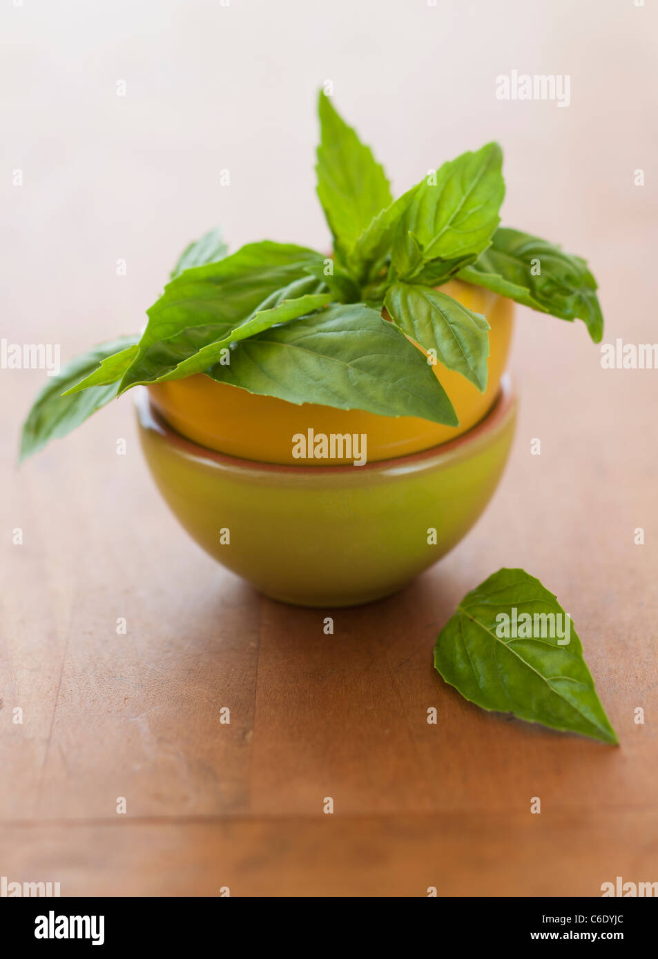 Fresh basil in bowl on table Stock Photo