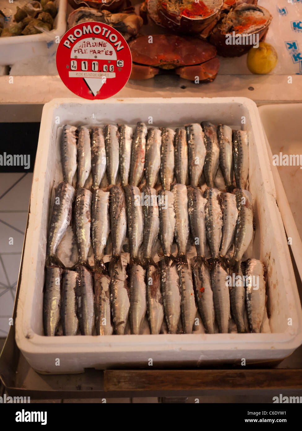 Sardine fillets in neat rows for sale in French market Stock Photo Alamy