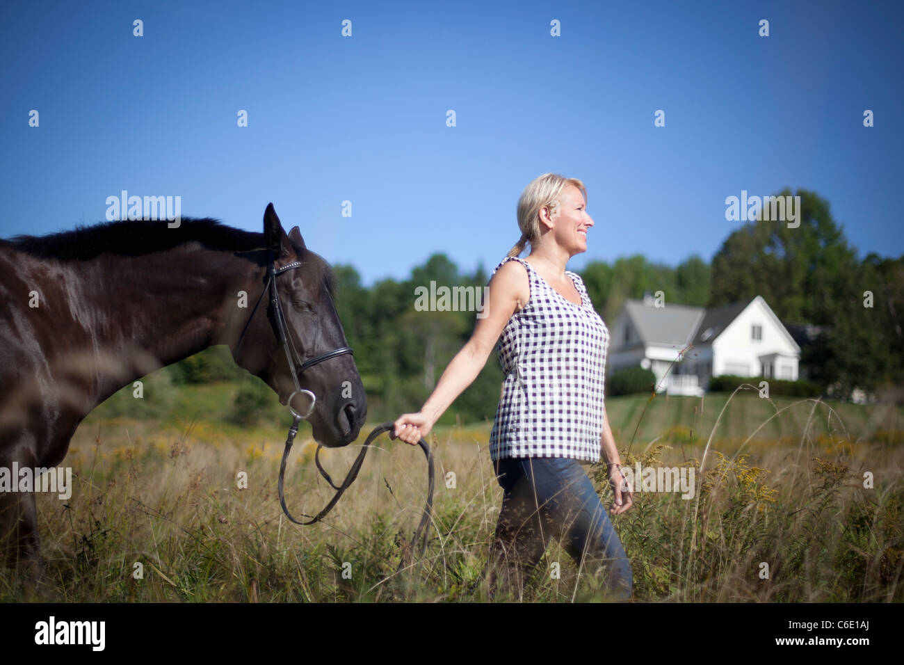 Caucasian woman leading horse through field Stock Photo
