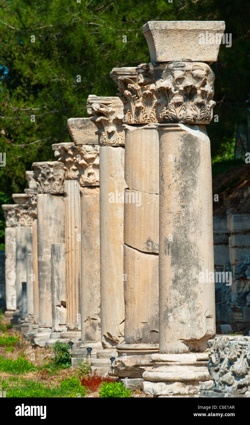 Turkey, Ephesus, Row of Corinthian columns Stock Photo