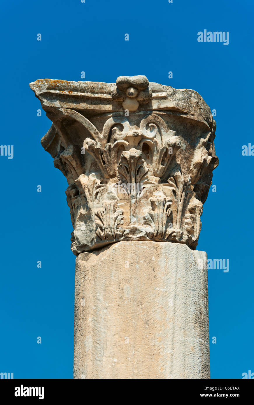 Turkey, Ephesus, Corinthian column Stock Photo