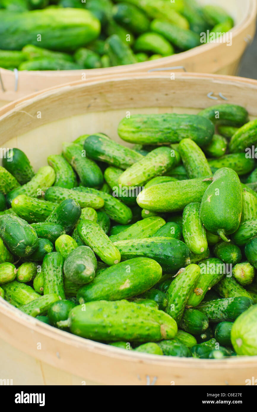 USA, New York City, cucumbers for sale Stock Photo Alamy