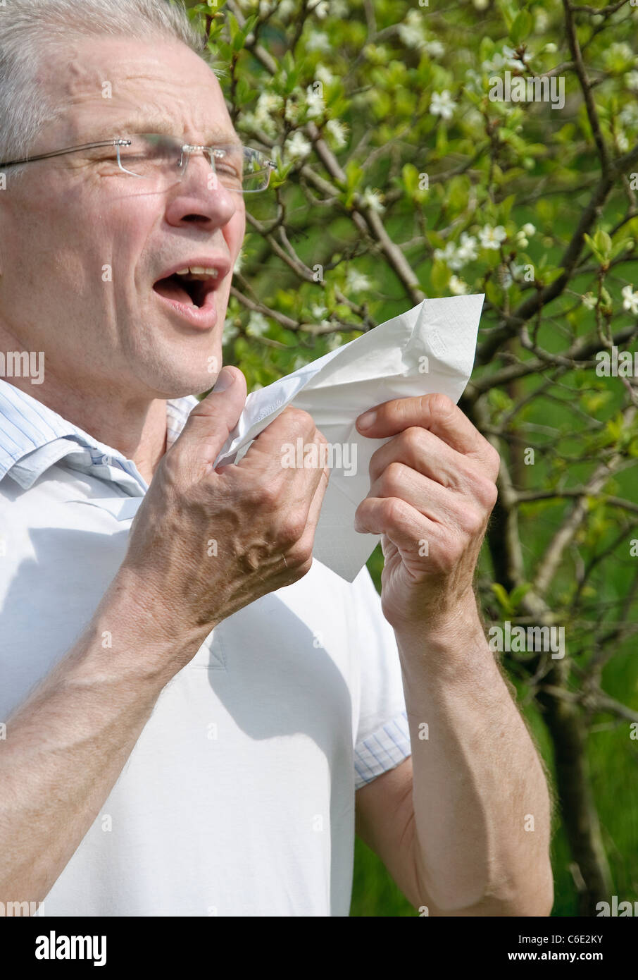 Sneezing man with handkerchief, hay fever, allergies Stock Photo