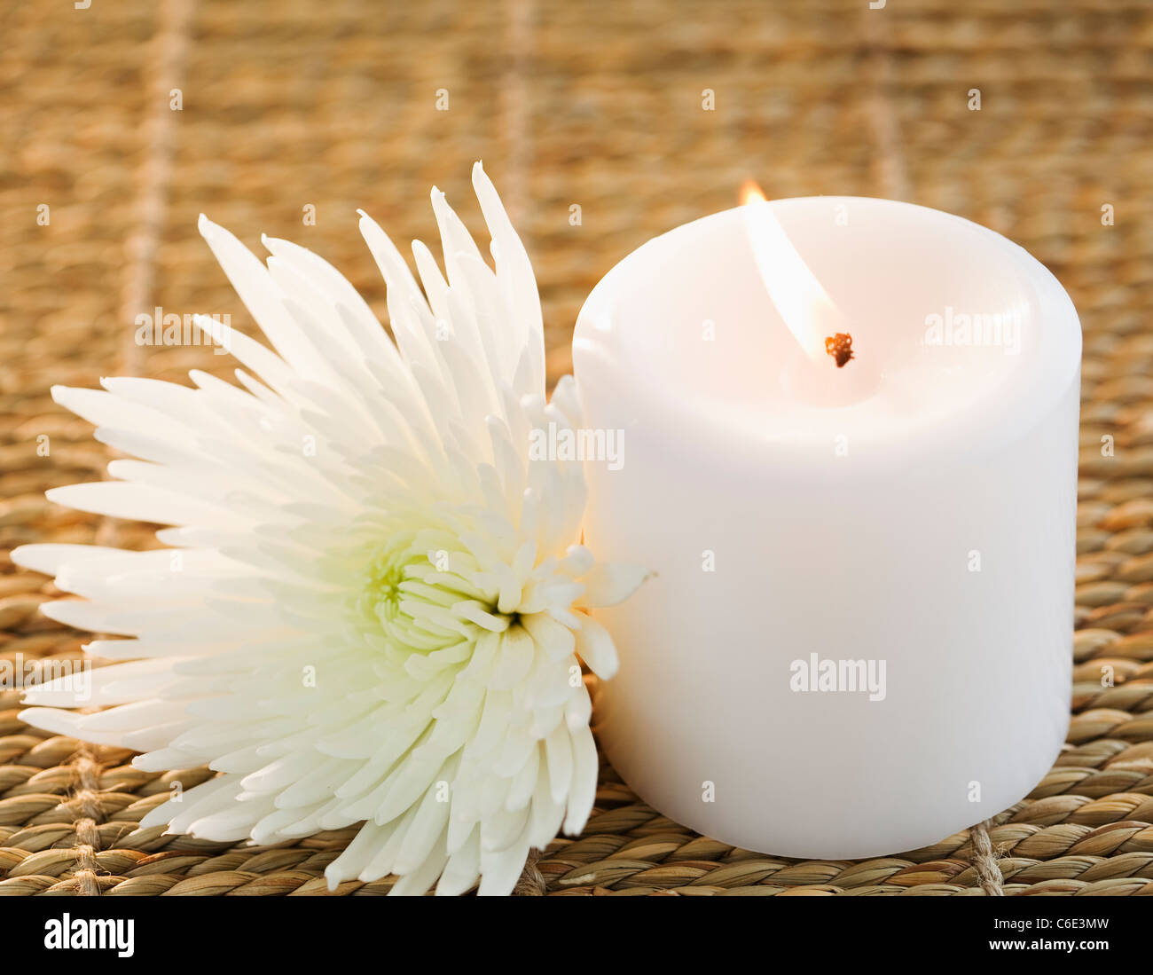 USA, New Jersey, Jersey City, Candle and white aster Stock Photo Alamy