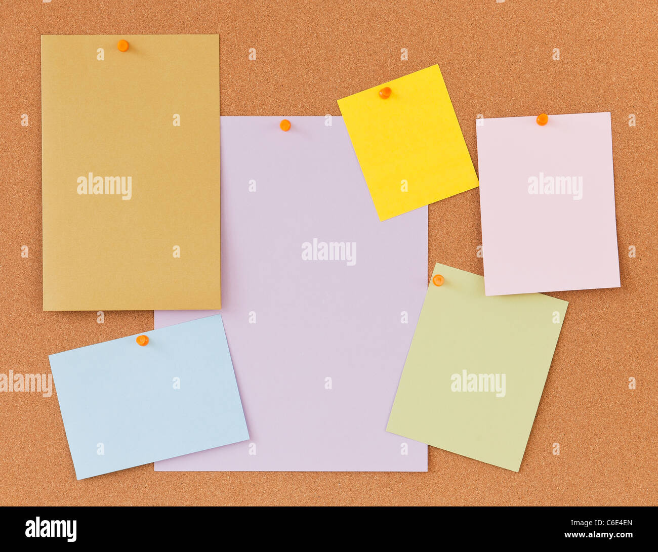 Blank labels on cork board Stock Photo