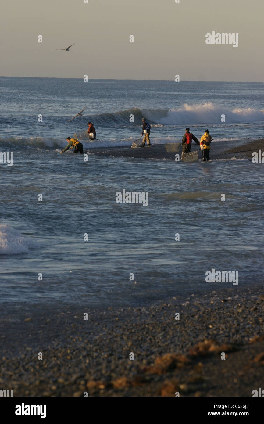 Whitebait fishermen with hard scoop nets at the mouth of the Rakaia river. Stock Photo