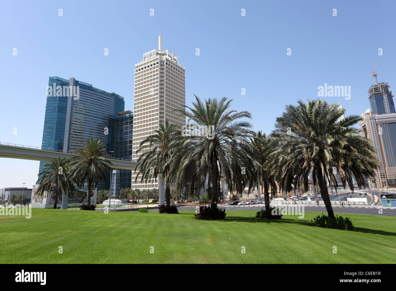 Palm Trees in Dubai City, United Arab Emirates Stock Photo