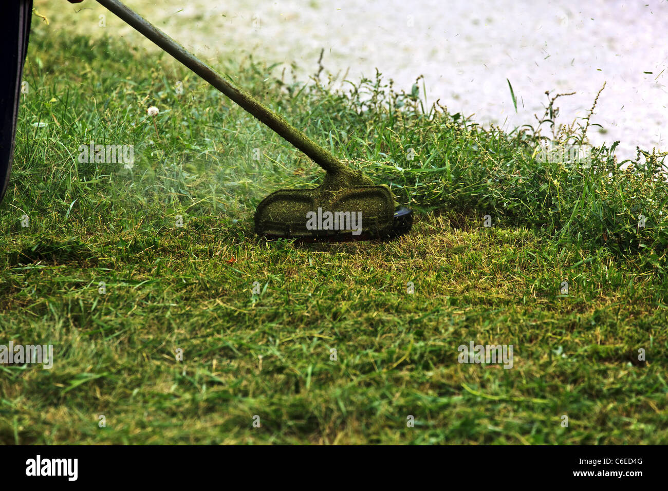 Close-up lawn mower triming grass near a road. Stock Photo