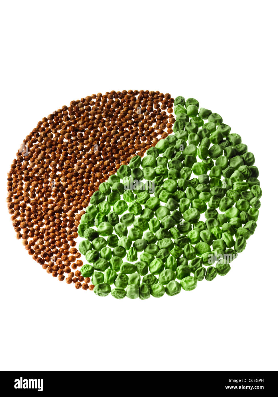 Studio shot of Cardamom Seeds and Pea Seeds making Yin Yang on white