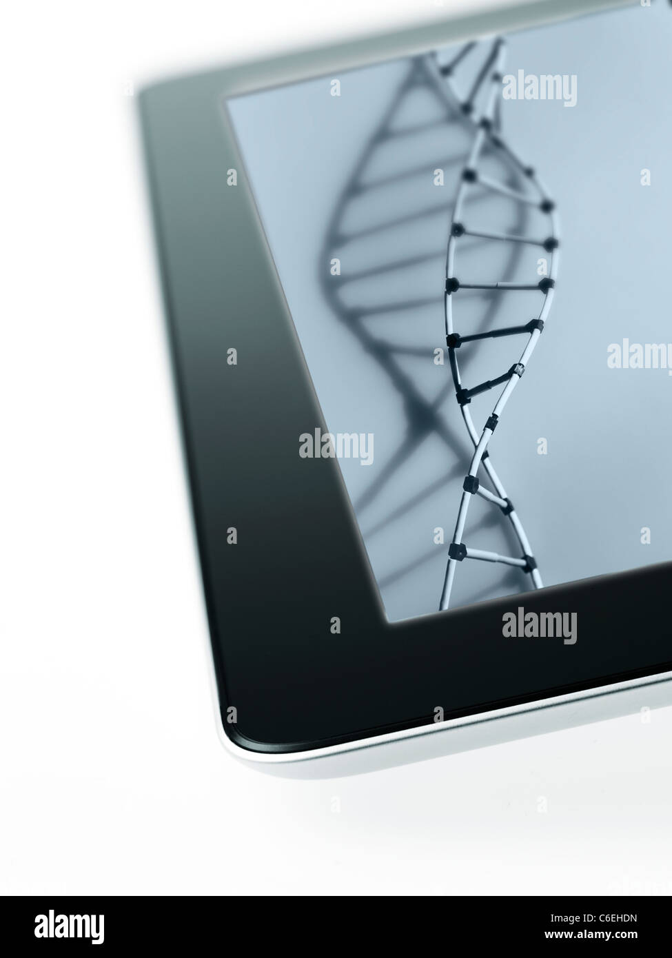 Studio shot of DNA model on digital tablet Stock Photo