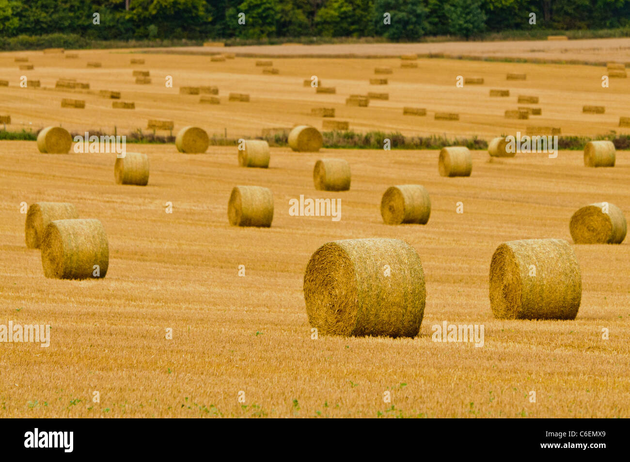 Large bales of hay in a field after harvesting Stock Photo