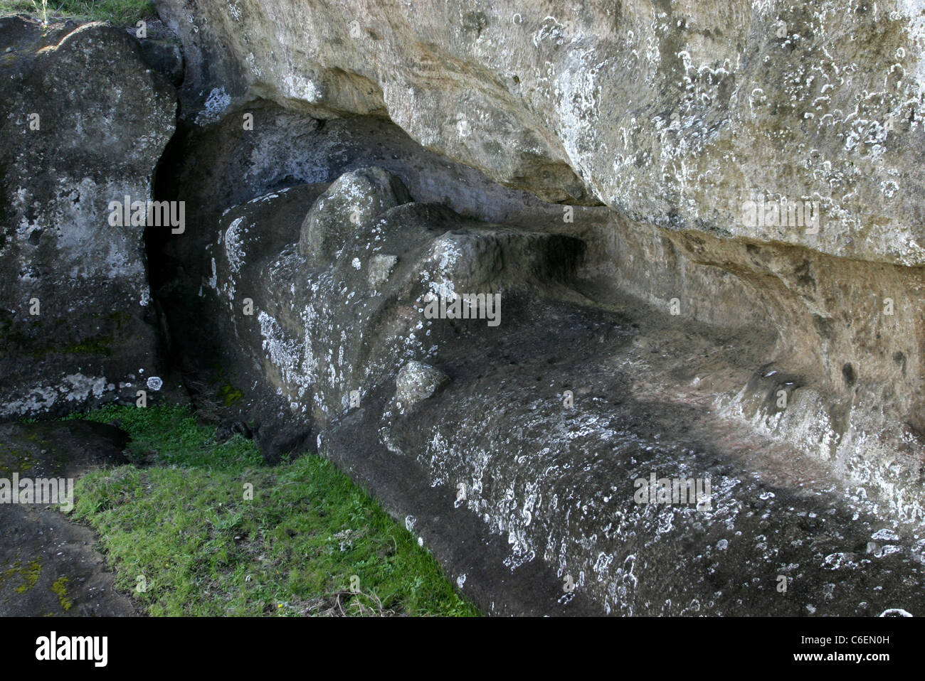 Unfinished lying down Moai statues still embedded into the mountain at Rano Raraku, the Moai