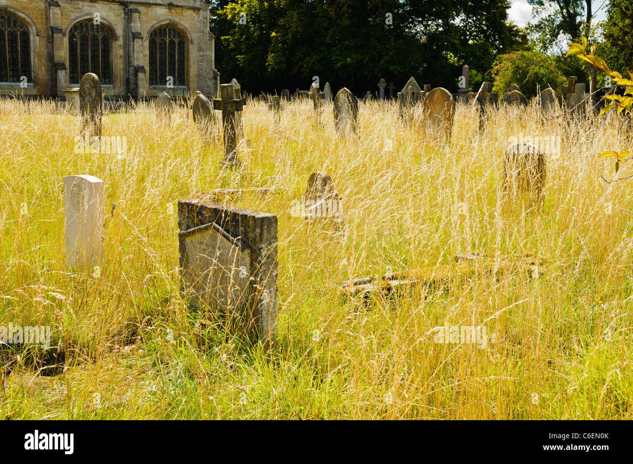 Graveyard weed hires stock photography and images Alamy