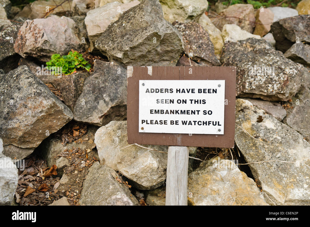 Sign warning the public that adders have been seen in the embankment Stock Photo
