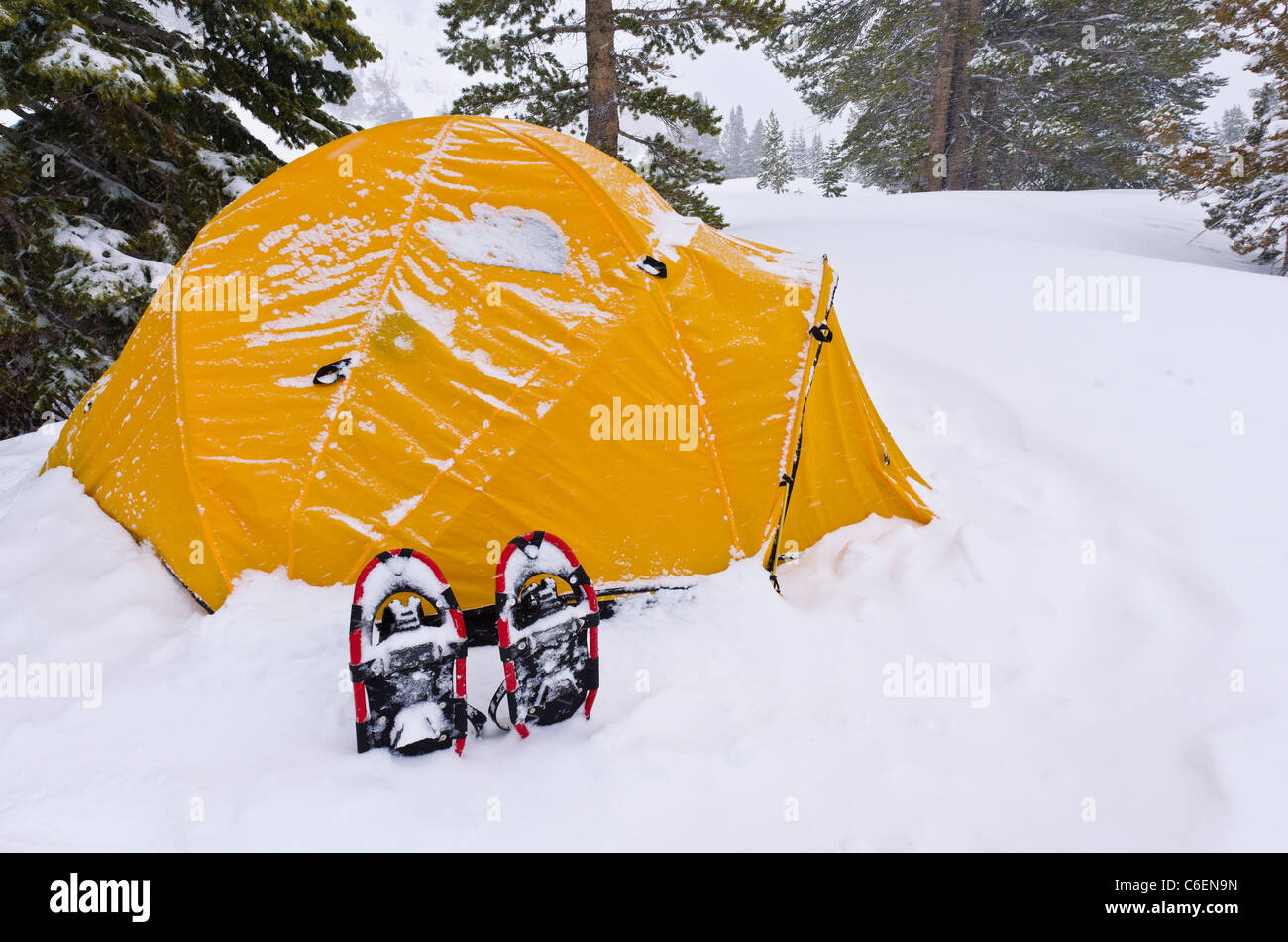 Yellow dome tent and snow shoes, Ansel Adams Wilderness, Sierra Nevada Mountains, California USA Stock Photo