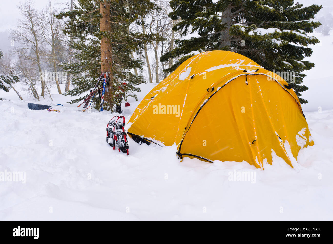 Yellow dome tent and snow shoes, Ansel Adams Wilderness, Sierra Nevada Mountains, California USA Stock Photo