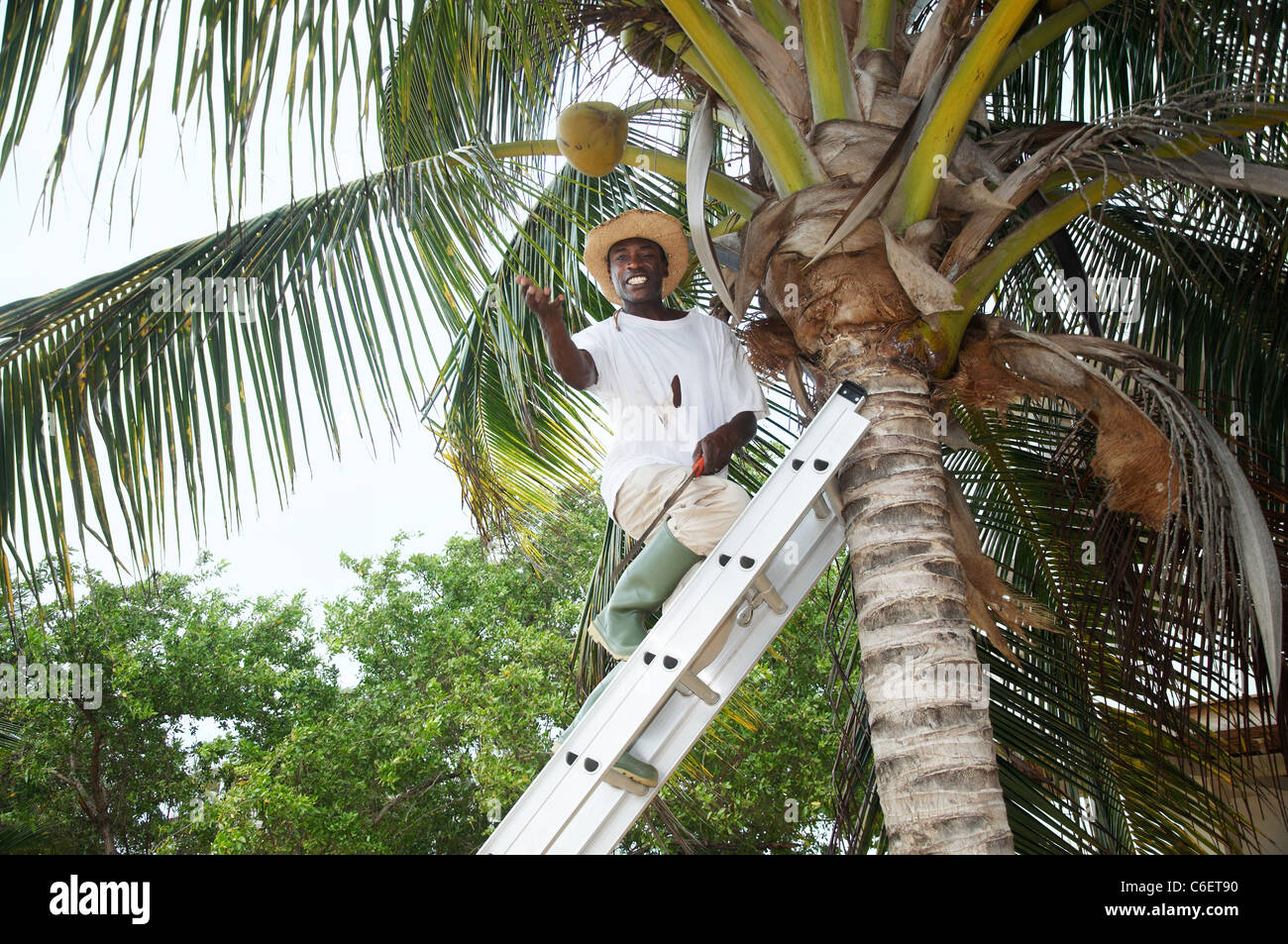 Throwing down the ladder by hires stock photography and images Alamy