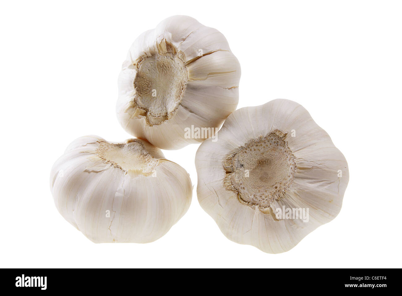 Garlic Stock Photo