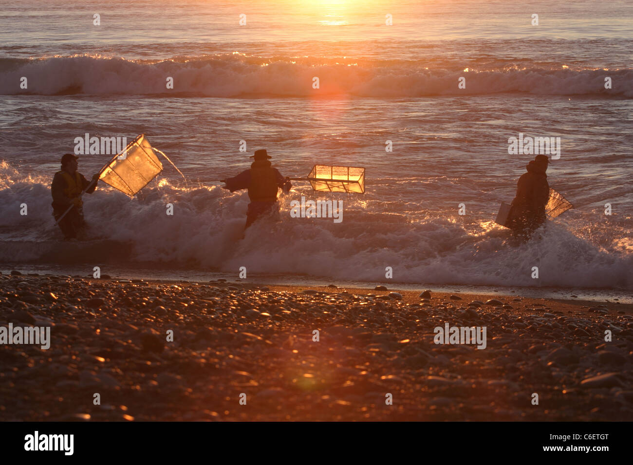 Whitebait fishing in surf at the Rakaia river mouth. Stock Photo