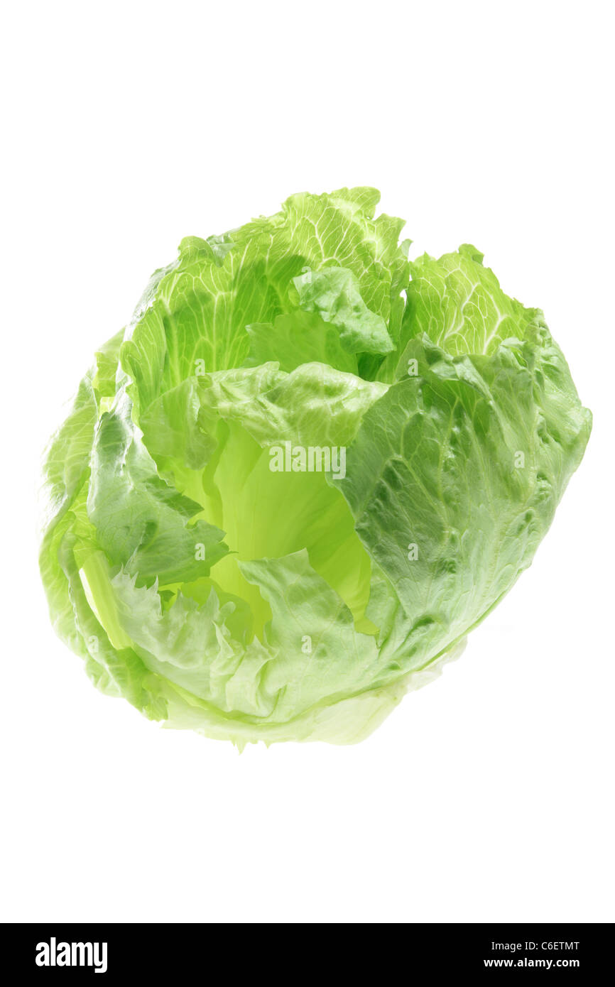 Iceberg lettuce leaf hires stock photography and images Alamy