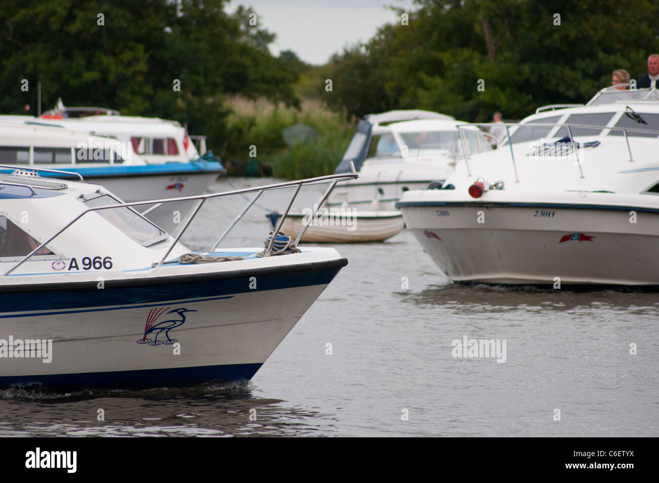 Busy river scene Hire boats cruisers on Norfolk Broads Stock Photo Alamy