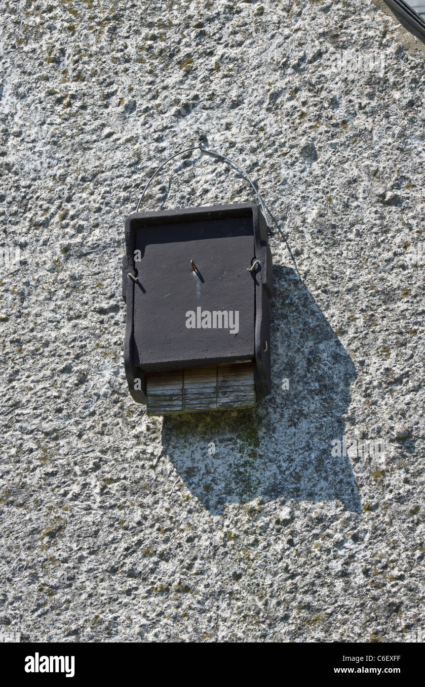 Cement type bat box hires stock photography and images Alamy