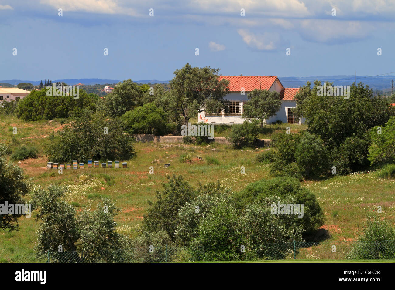 Beehives in a field beside an old farm house in the Algarve near Silves, Portugal Stock Photo