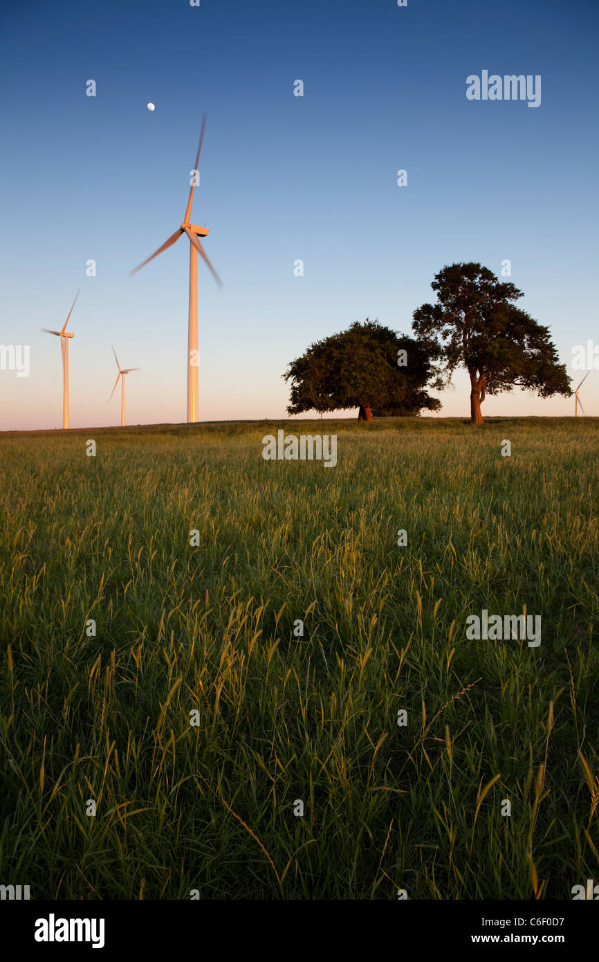 A group of wind turbines in west Texas seen at sunset Stock Photo Alamy