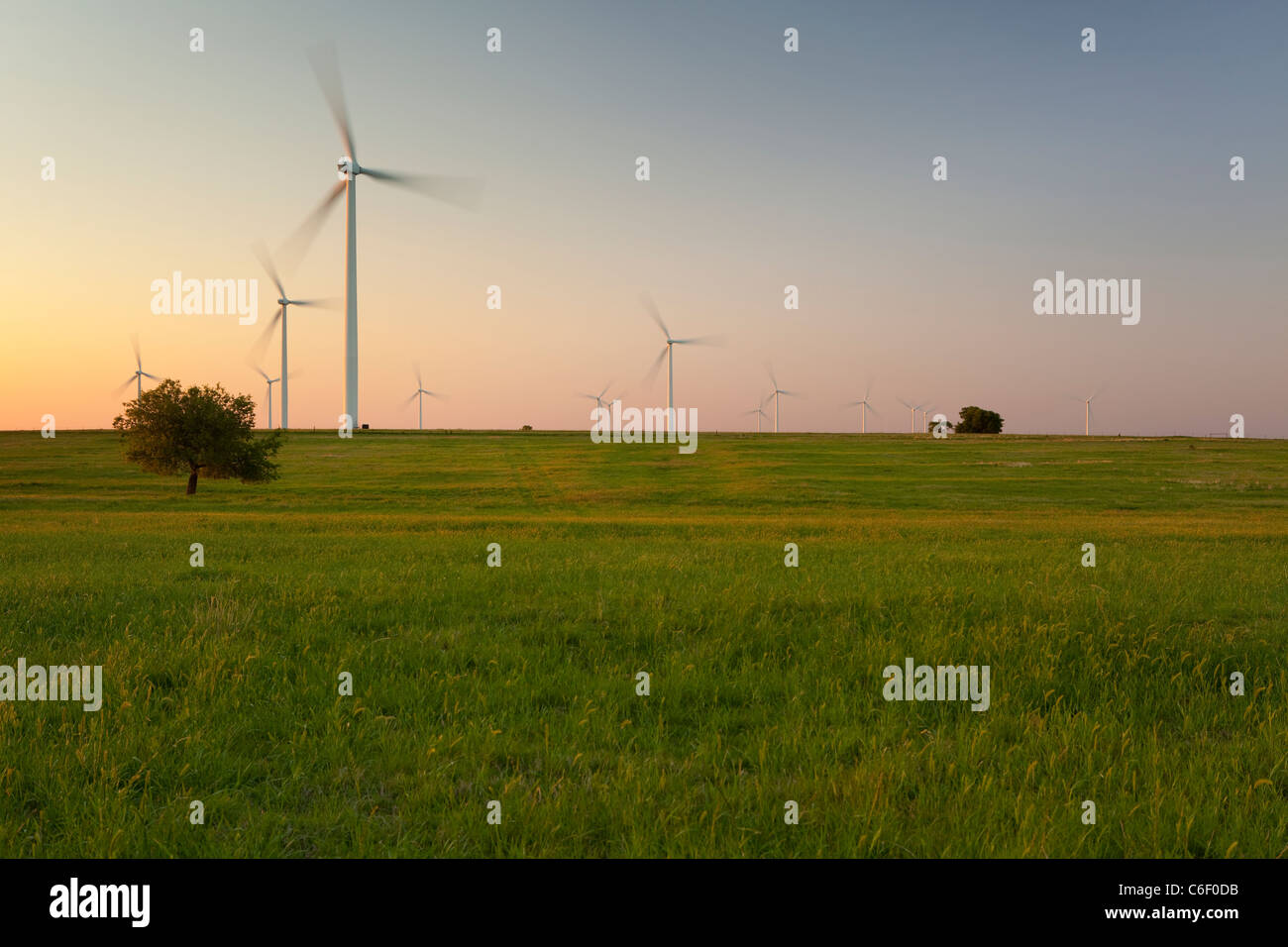 A group of wind turbines in west Texas seen at sunset Stock Photo Alamy