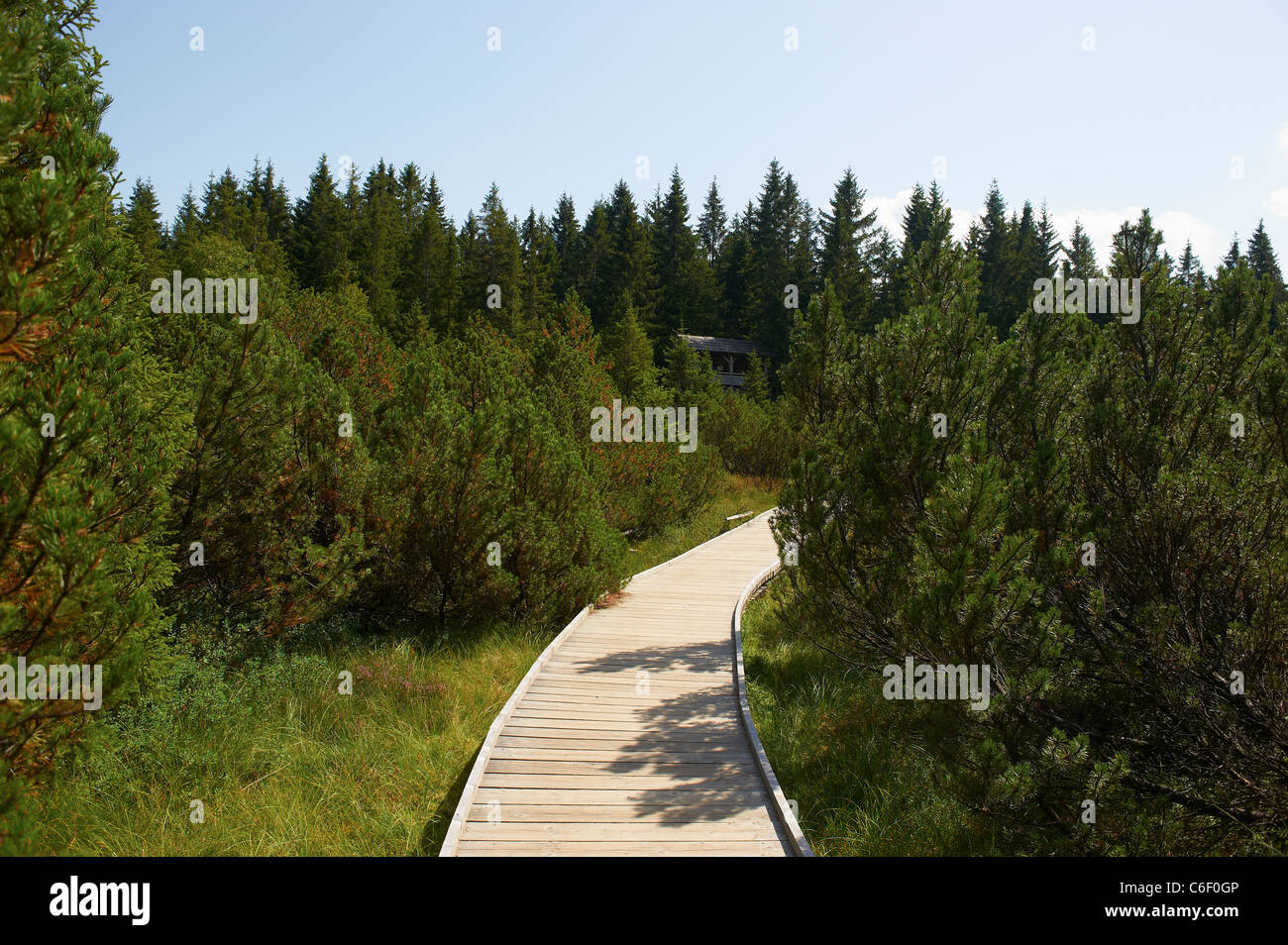 Národní park sumava hi-res stock photography and images - Alamy