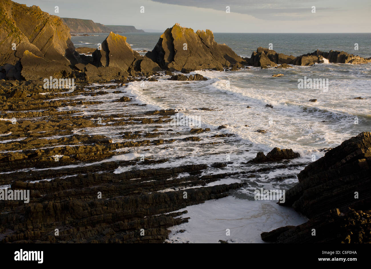 The dramatic heavily-folded sandstone and mudstone rocks of Hartland Quay, north Devon. Stock Photo