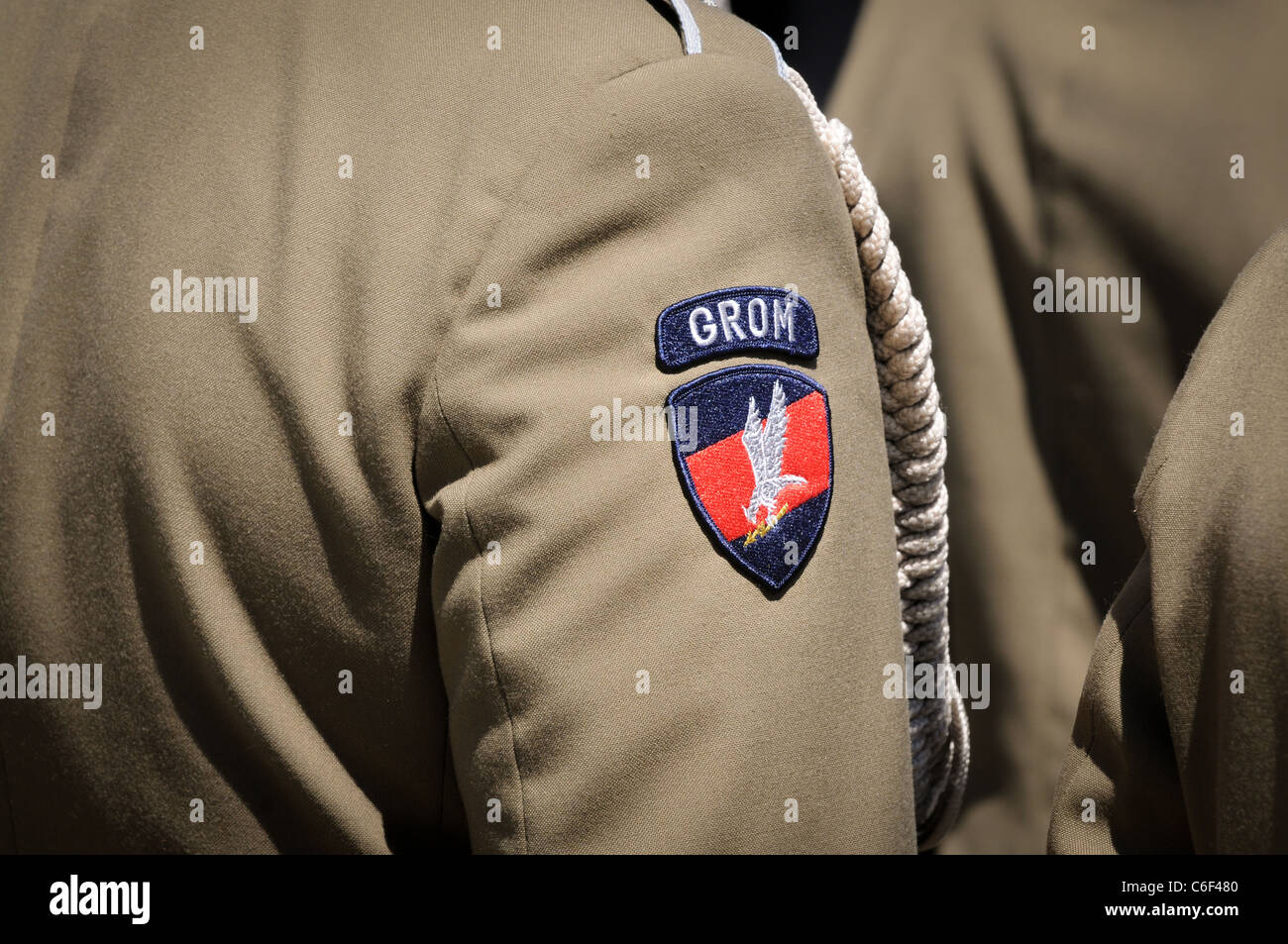 Soldiers From Polish Special Forces Unit Grom Operational Mobile Stock Photo Alamy