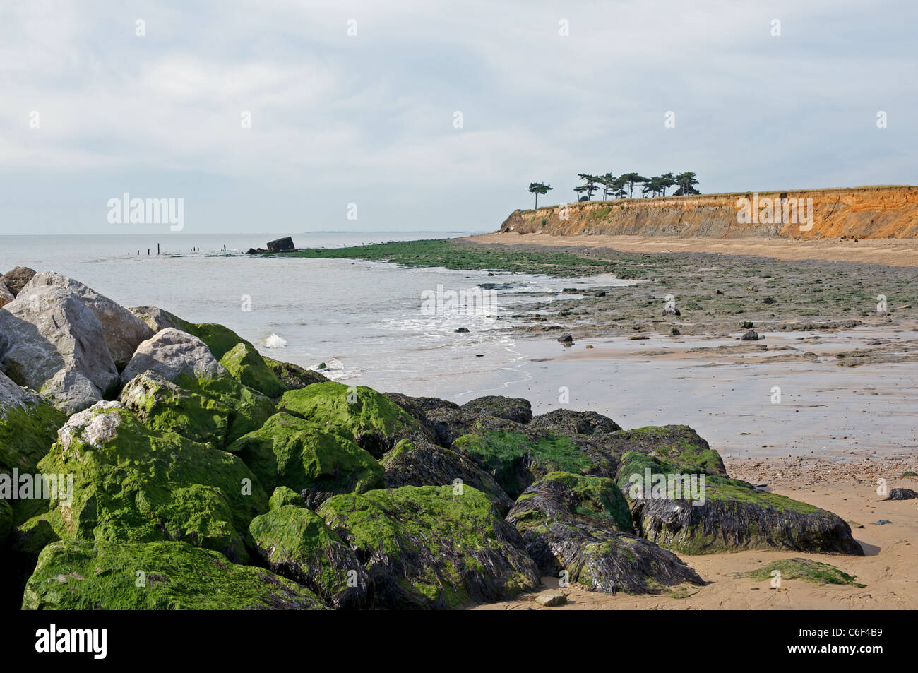 Rock Armor To Help Reduce Coastal Erosion Bawdsey Suffolk UK Stock rock-armor-to-help-reduce-coastal-erosion-bawdsey-suffolk-uk-stock