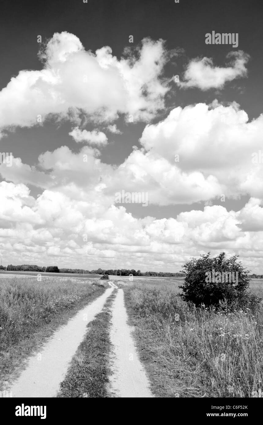 black and white rural landscape with road and sky Stock Photo - Alamy
